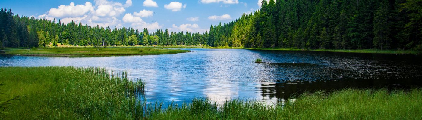 Psychotherapie und Paartherapie bei Dr. Alina Haipt